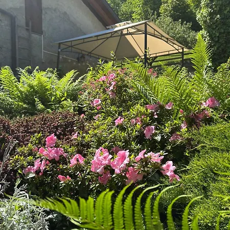Joy Center - Casa E In Val Pellice 3*