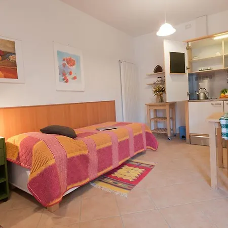 Joy Center - Val Pellice