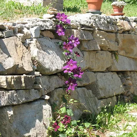 Joy Center - Val Pellice Villar Pellice