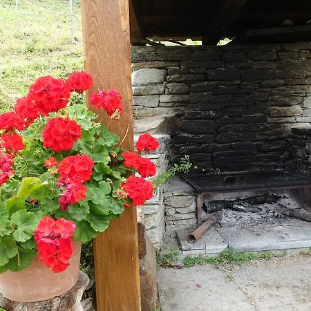 Joy Center - Casa E Appartamenti Vacanza In Val Pellice Villar Pellice