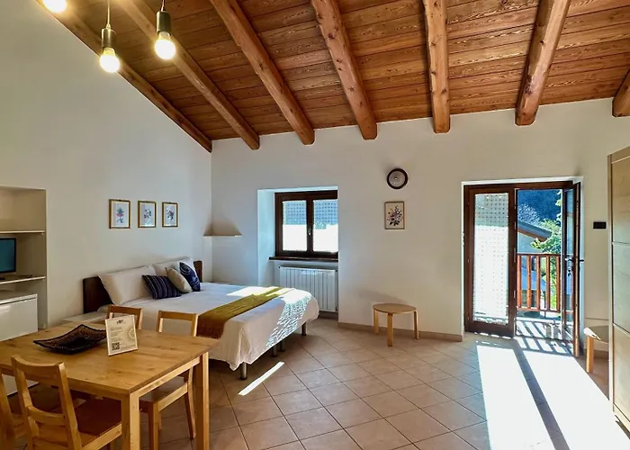 Joy Center - Val Pellice 3*