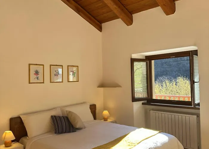 Joy Center - Val Pellice