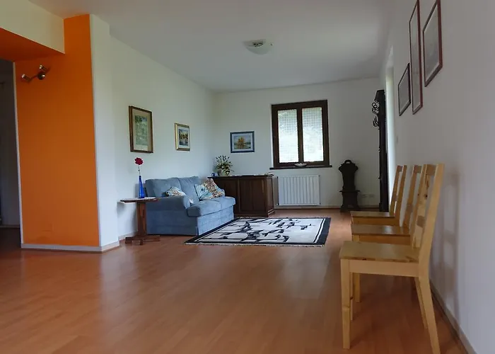 Joy Center - Val Pellice